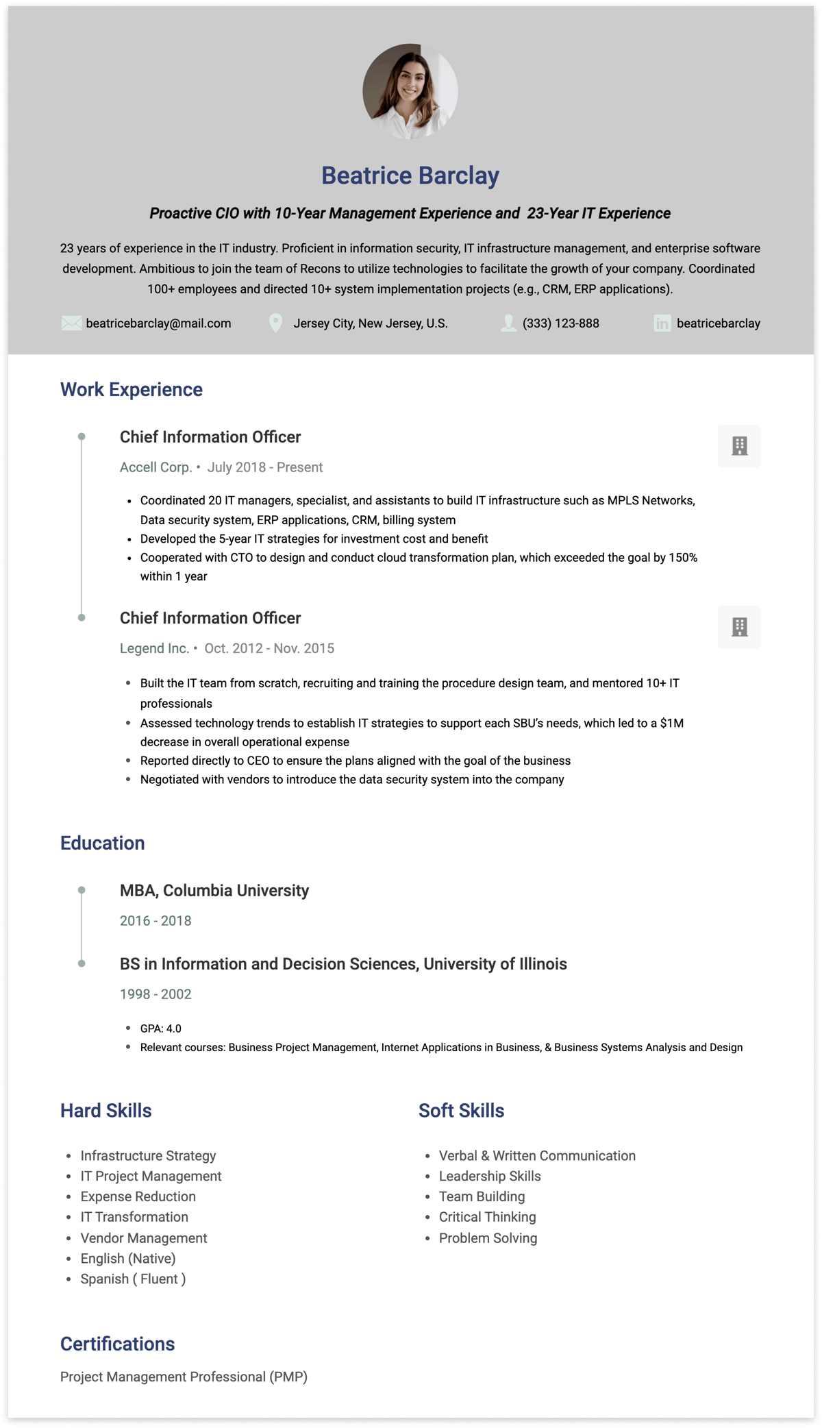 CIO resume example