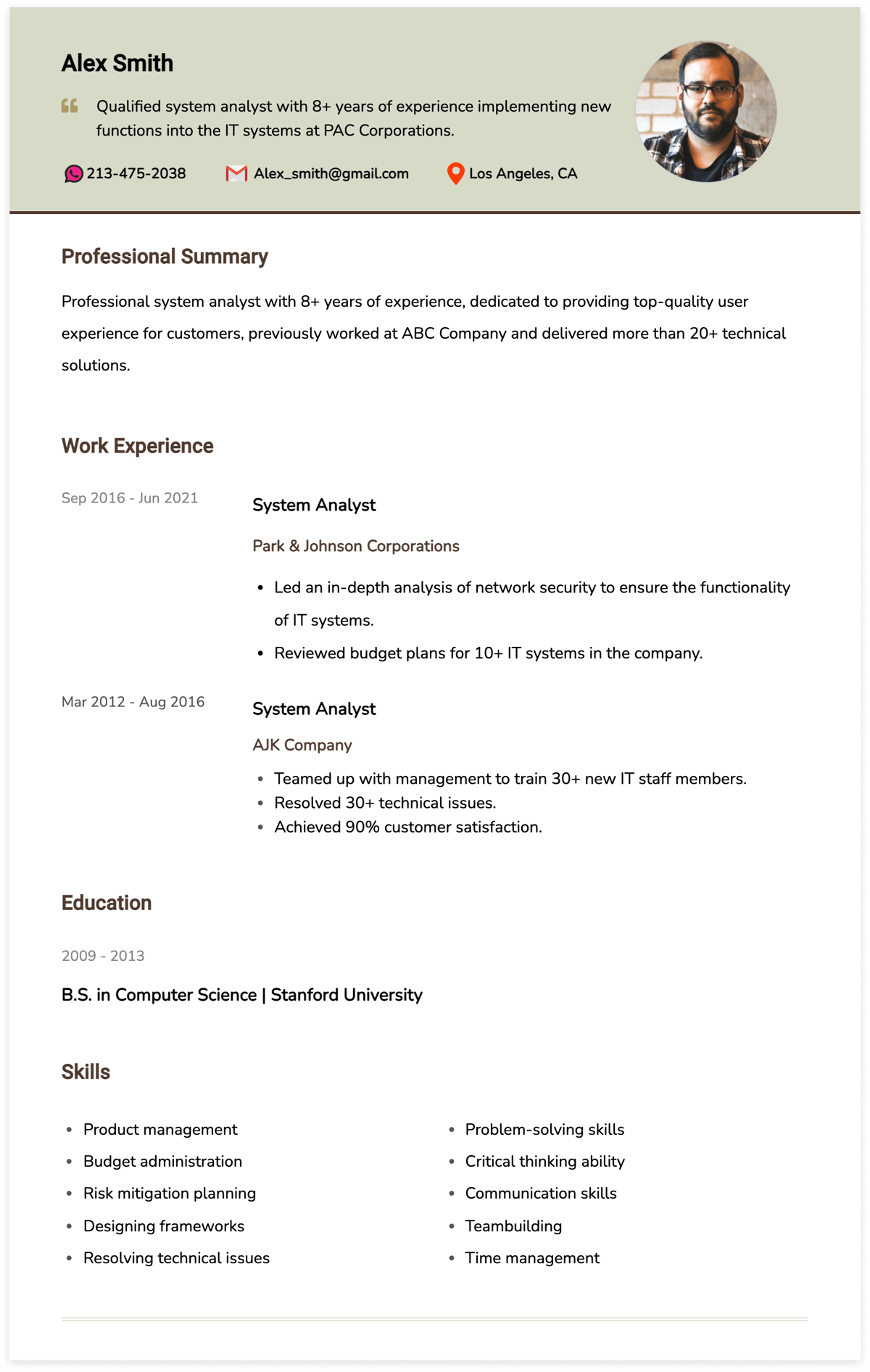 system analyst resume example