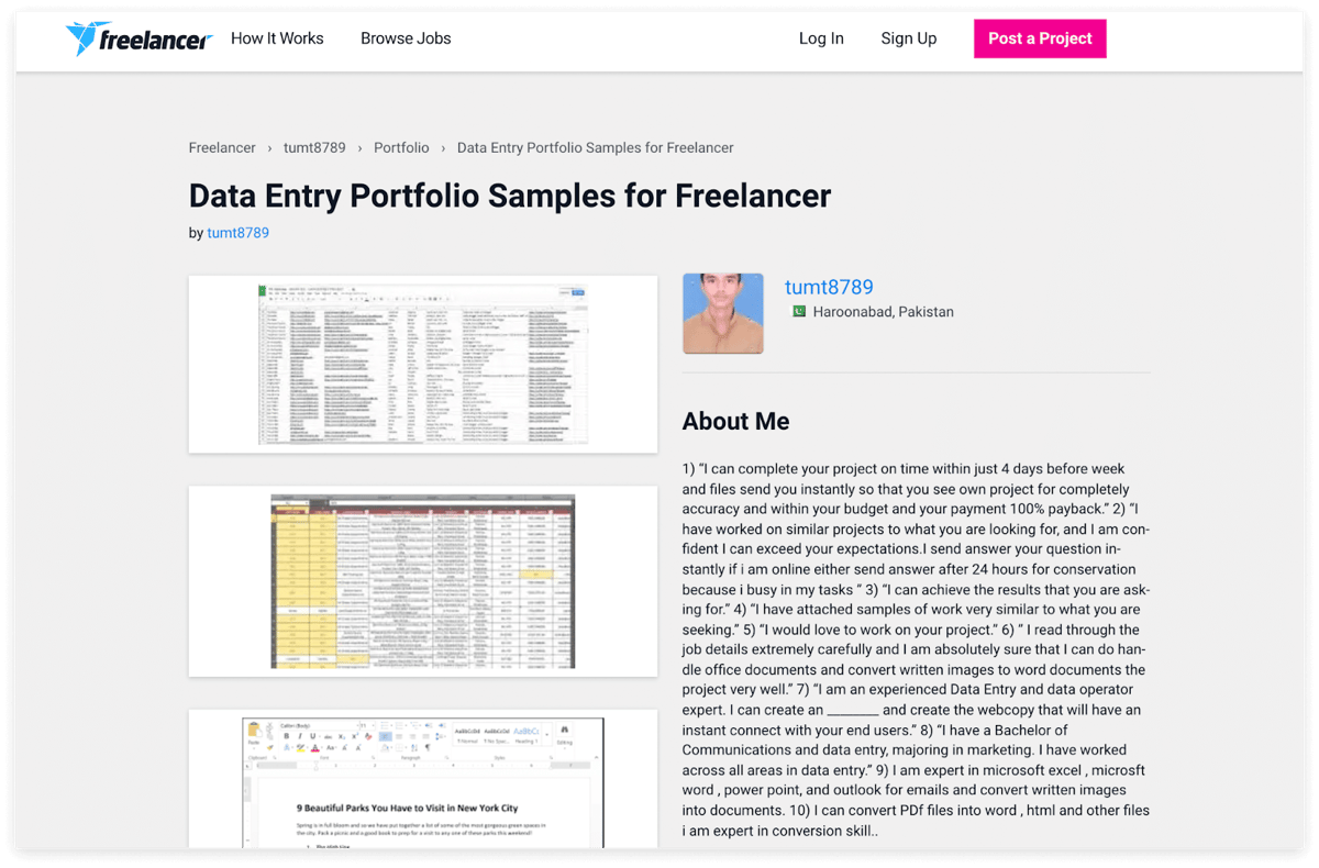 Freelancer Data Entry Portfolio Sample by tumt8789